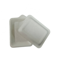 Biodegradable Bagasse Party Sugarcane Pulp Cake Plates with handle