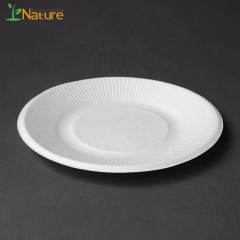 8 Inch Sugarcane Plates Disposable Dinnerware For Wedding