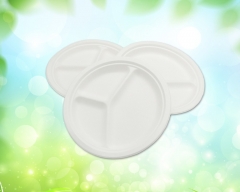 Bagasse disposable plate biodegradable 3-compartment plates sugarcane