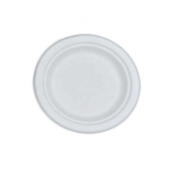 6inch Biodegradable Disposable Bagasse Pulp Sugarcane Plates