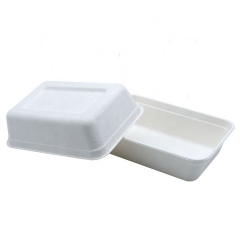 Plateau jetable biodégradable Plateau de nourriture en bagasse pour fruits et repas