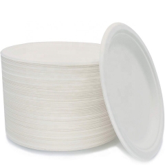 6inch Biodegradable Disposable Bagasse Pulp Sugarcane Plates