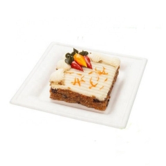 Compostable Disposable Plates Eco Friendly Sugarcane Plate