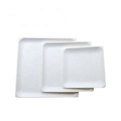 Assiette compostable Assiettes carrées peu profondes jetables à la canne à sucre