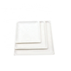 Placa cuadrada biodegradable disponible del bagazo de la caña de azúcar de la placa para la fruta