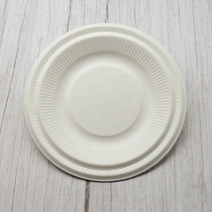 Assiette d'utilisation de fête de plat rond jetable biodégradable