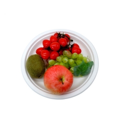 Disposable Biodegradable Sugarcane Bagasse Pulp Party Dinner Restaurant Plates