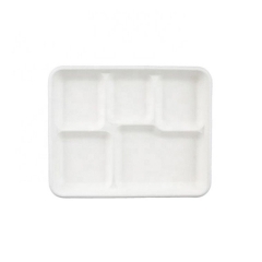 4/5 compartment Biodegradable Disposable compostal Tray for food
