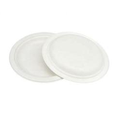 Biodegradable disposable bagasse round cake plate for cake shop