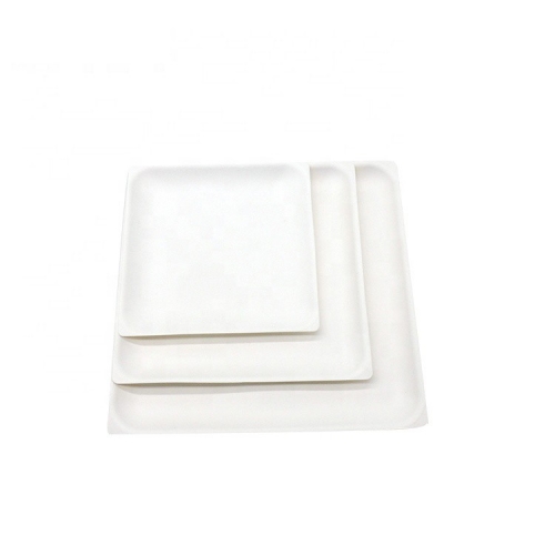 Biodegradable Square Plate Disposable Sugarcane Bagasse Plate For Fruit