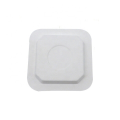 Composable Sugercane squarePlate Bagasse Disposable Plate