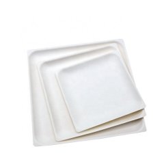 Platos cuadrados poco profundos desechables de la caña de azúcar de la placa biodegradable