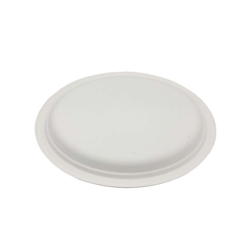 Plato ovalado de bagazo biodegradable de la mejor venta para platos desechables de fiesta Platos de caña de azúcar de alta calidad