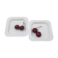 Plat jetable biodégradable de bagasse de canne à sucre de place pour le dessert