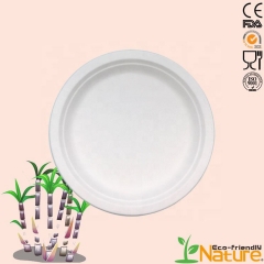 Disposable Biodegradable Sugarcane Bagasse Round Plates