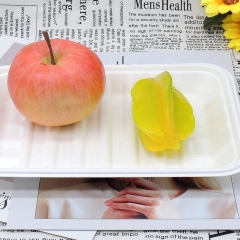 Biologisch abbaubare Einweg-Fleischschale Bagasse Lebensmittelschalen für Supermarket