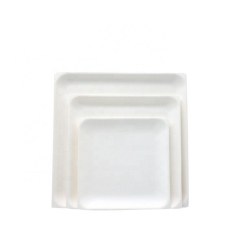 Biodegradable Square Plate Disposable Sugarcane Bagasse Plate For Fruit