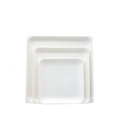 Disposable Biodegradable Square Plate Sugarcane Bagasse Plate For Fruit