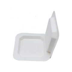 Biodegradable Disposable Square Sugarcane Bagasse Plate For Dessert