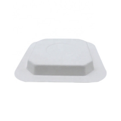 Placa cuadrada disponible biodegradable del bagazo de la caña de azúcar para el postre