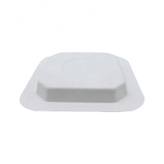 Plat jetable biodégradable de bagasse de canne à sucre de place pour le dessert