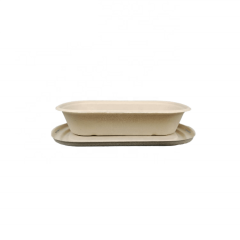 Biodegradable Bagasse Box Disposable Tray Sugarcane Food Container