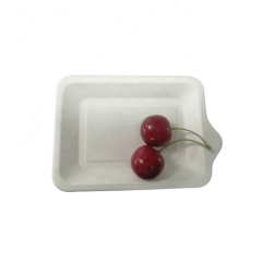 Biodegradable Bagasse Party Sugarcane Pulp Cake Plates with handle