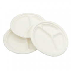 Disposable biodegradable bagasse pulp round food tray for party