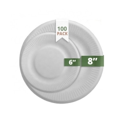 Biodegradable Plate Compostable Sugarcane Fibre Pulp Dinner Eco Friendly Disposable Plates