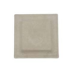 Best selling products biodegradable disposable sugarcane square plate