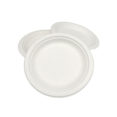 Assiette de bagasse de canne à sucre écologique compostable de 9 pouces