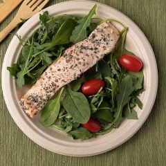 Assiette jetable de bagasse de vaisselle de canne à sucre naturelle biodégradable de 7 pouces