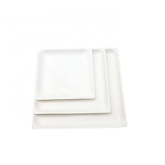 Assiette compostable Assiettes carrées peu profondes jetables à la canne à sucre