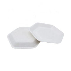 Compostable Bagasse Disposable Sugarcane Hexagonal Plates for cake