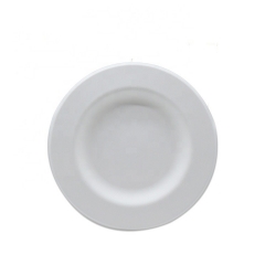 10 Inch Disposable Biodegradable Sugarcane Dinner Deep Plate