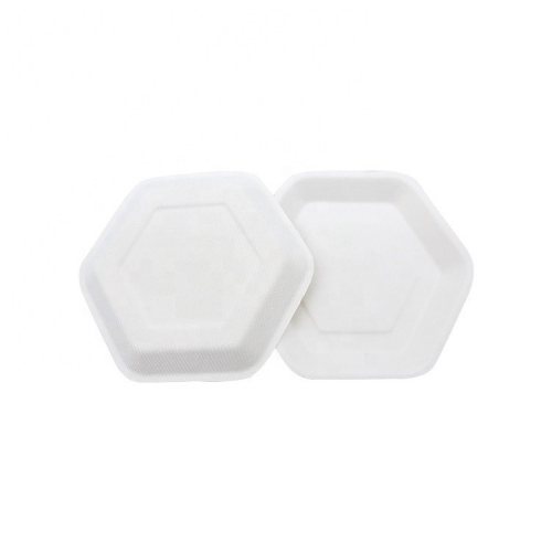 Compostable Bagasse Disposable Sugarcane Hexagonal Plates for cake