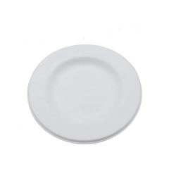 10 Inch Disposable Biodegradable Sugarcane Dinner Deep Plate