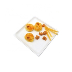 10 Square Food Plates Biodegradable Sugarcane Bagasse plate