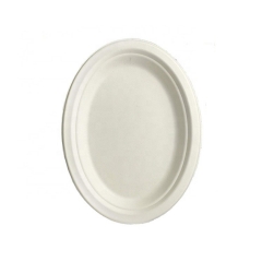 12 Inch Oval Sugarcane Compostable Plates Disposable