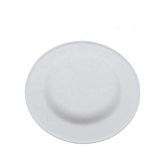 10 Inch Disposable Biodegradable Sugarcane Dinner Deep Plate