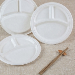 3 Compartment Compostable Biodegradable Bagasse Inch 10 Sugarcane Plate