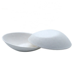 Plat de pulpe de canne à sucre de forme d'oeuf de bagasse compostable jetable biodégradable