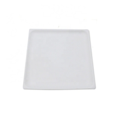 100% Biodegradable Square Disposable Sugarcane Plate For Party