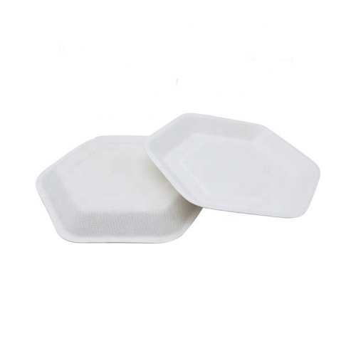 Custom Logo Wholesale Disposable Sugarcane Plates for Party
