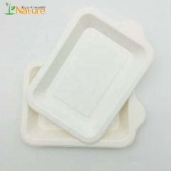 100% Biodegradable Sugarcane Disposable Tray For Cake