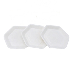 Biodegradable Disposable Sugarcane Hexagonal Plates for Weesding