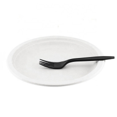 12 Inch Oval Sugarcane Compostable Plates Disposable