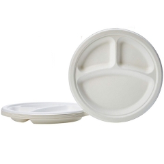 Placas blancas desechables biodegradables de la caña de azúcar del bagazo del 100% para el Bbq