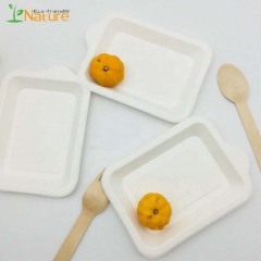 100% Biodegradable Sugarcane Disposable Tray For Cake