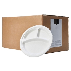 3 Compartment Biodegradable 10 Sugarcane Plate